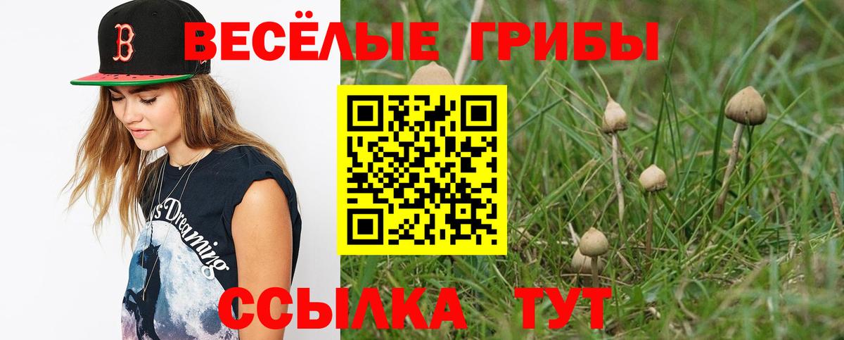 Городец  Галлюциногенные грибы прущие грибы  Вход с VPN 